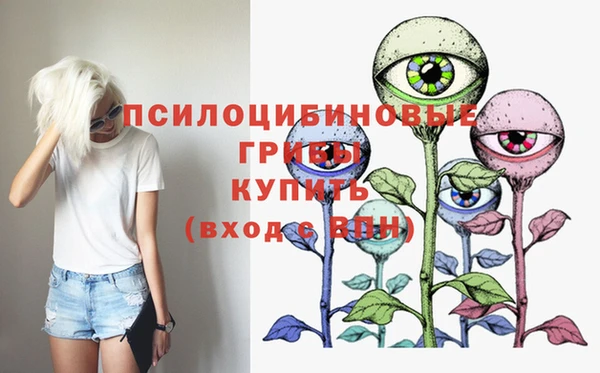марихуана Абаза