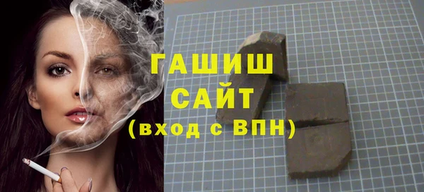 гашик Алексин