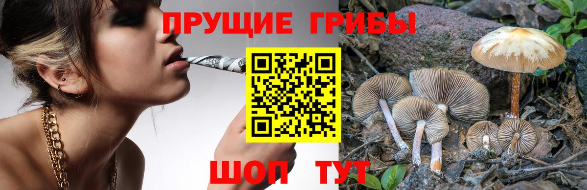 Галлюциногенные грибы Magic Shrooms Электросталь